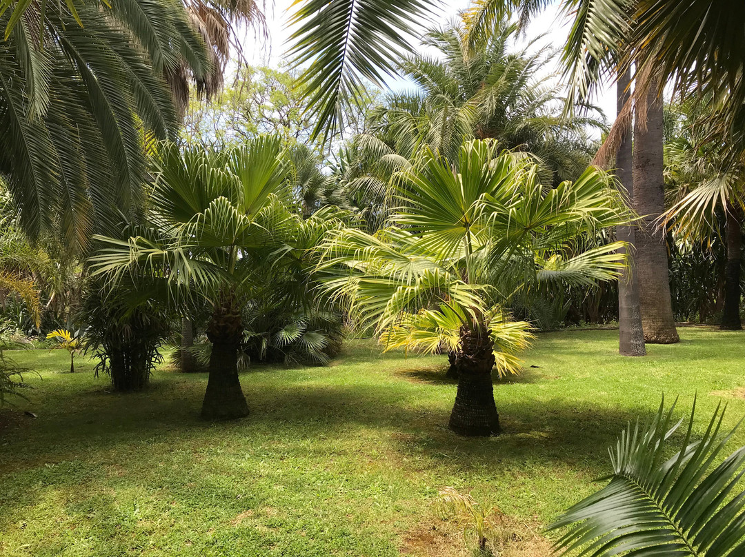 Madeira Botanical Garden-沙尔必去景点