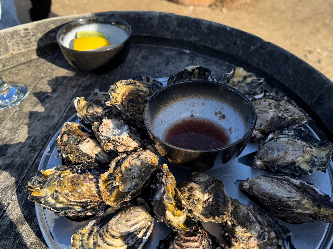 Oyster Bay Tours-科尔斯湾必去景点