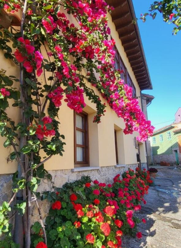 Casa Pelayin