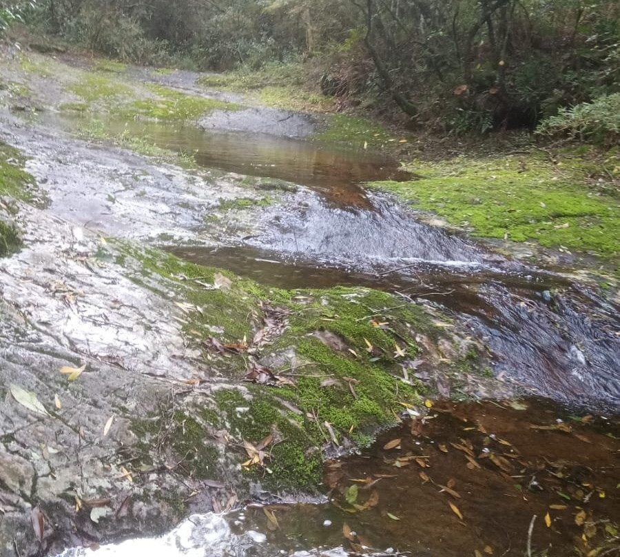 Paseo Sierra de Las Animas-Maldonado必去景点