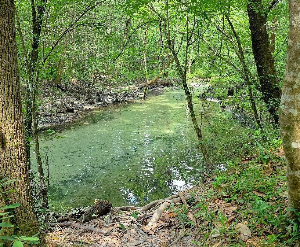 Ponce de Leon Springs State Park-Ponce de Leon必去景点