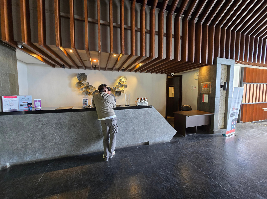 卢武克瑞士贝尔旅店主图
