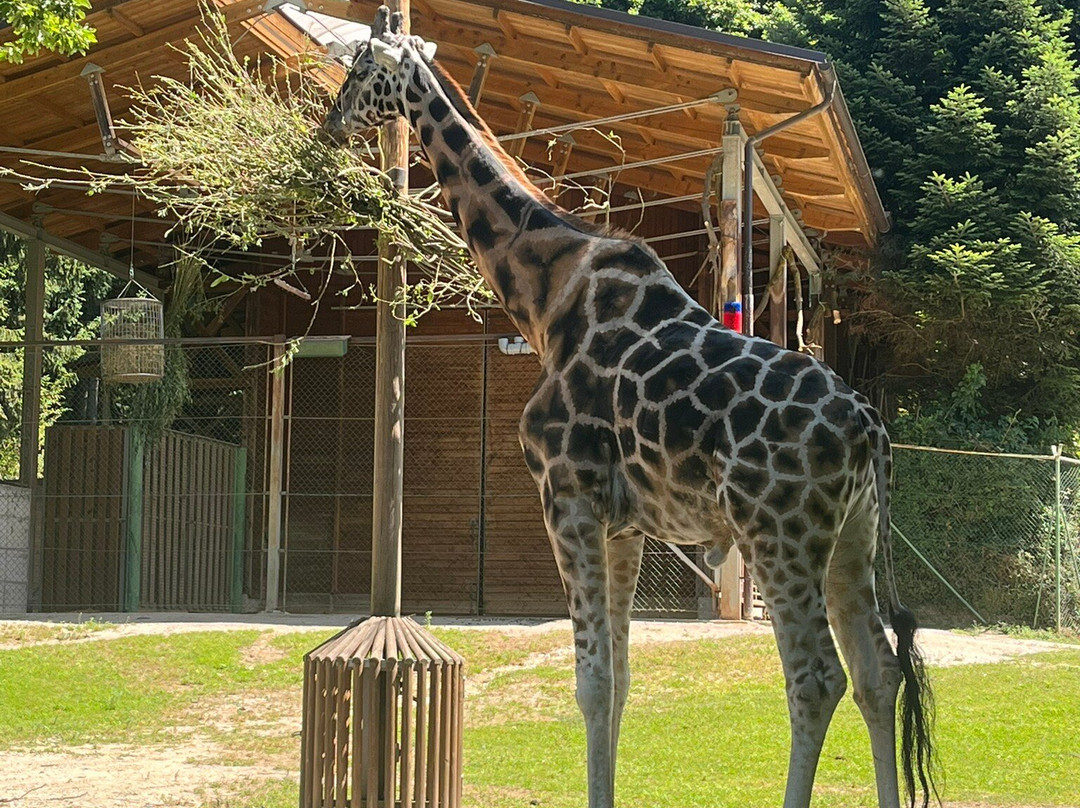 Zoo Ljubljana-卢布尔雅那必去景点
