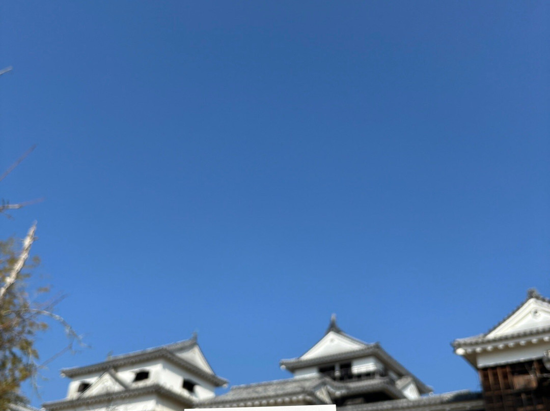松山城-松山市必去景点