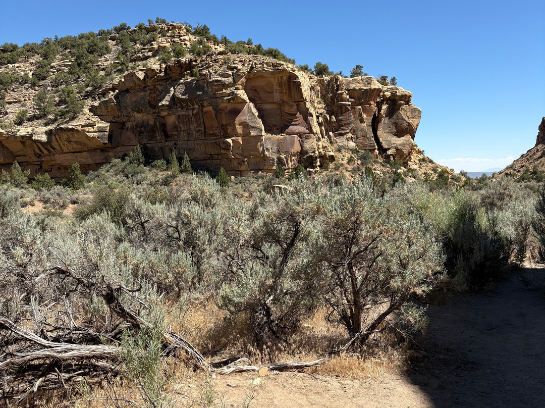 Sego Canyon Petroglyphs-Thompson必去景点