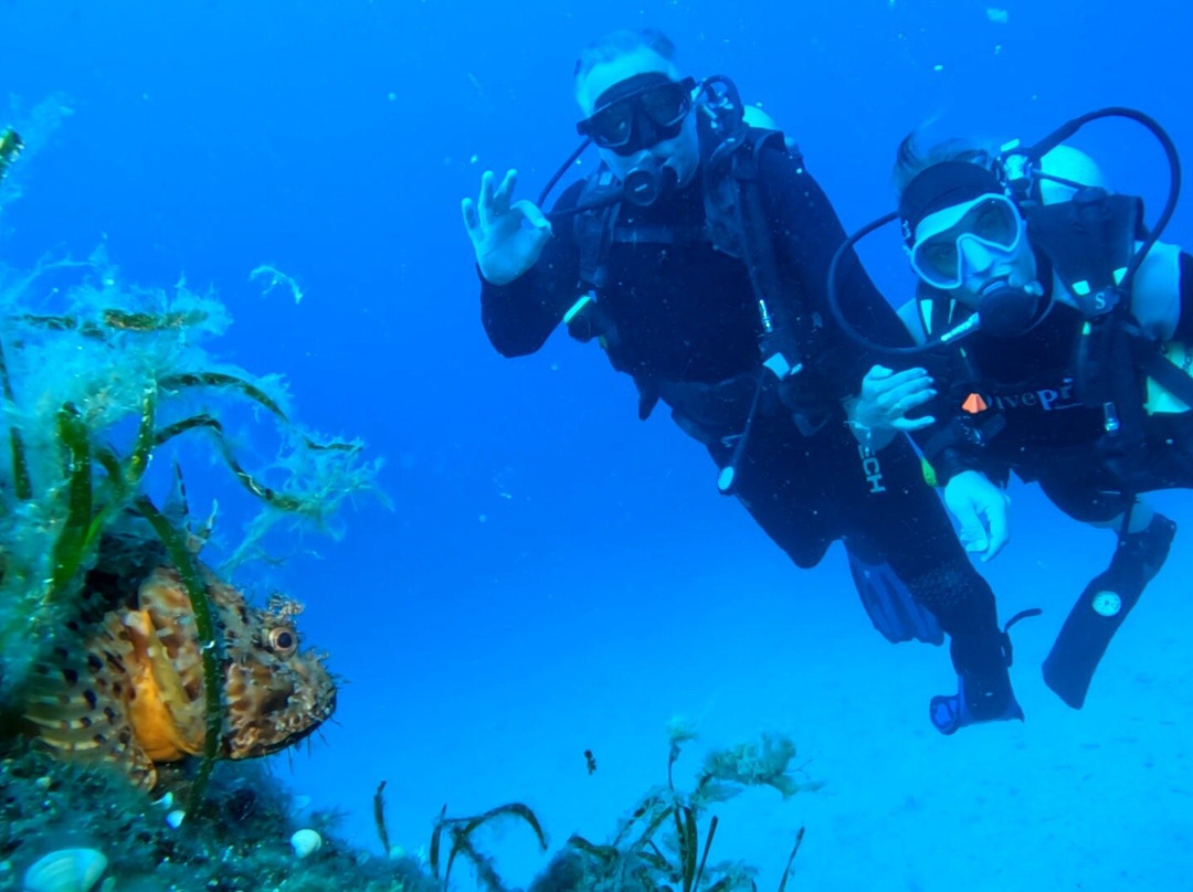 Nikiti Diving Center-Nikiti必去景点