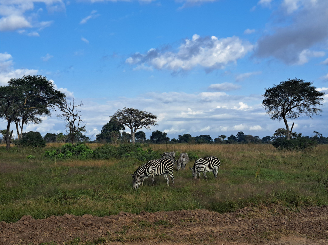 NICE ADVENTURE SAFARI-Dar es Salaam必去景点