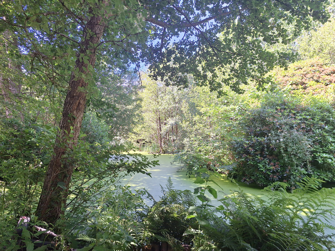 Conwy Water Gardens-Rowen必去景点