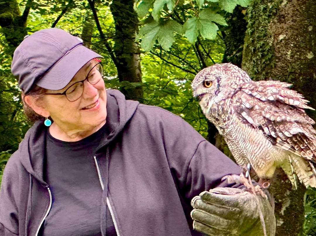 Loch Lomond Bird Of Prey Centre-Balloch必去景点