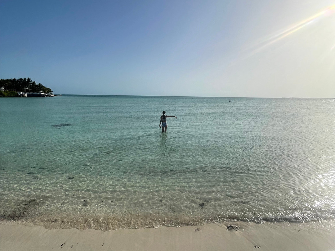 Taylor Bay Beach-普罗维登西亚莱斯必去景点