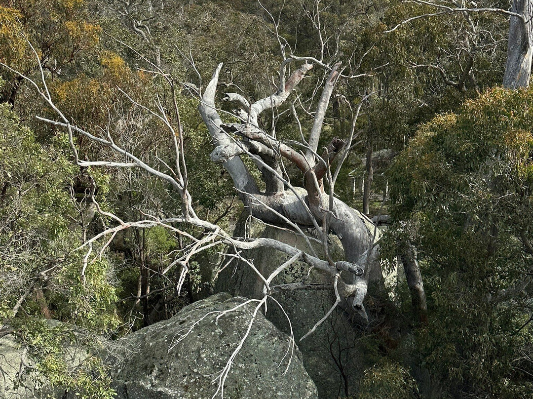 Donnelly's Castle-史丹霍普必去景点