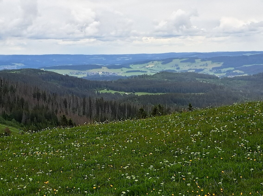 Feldberg-菲尔德山必去景点