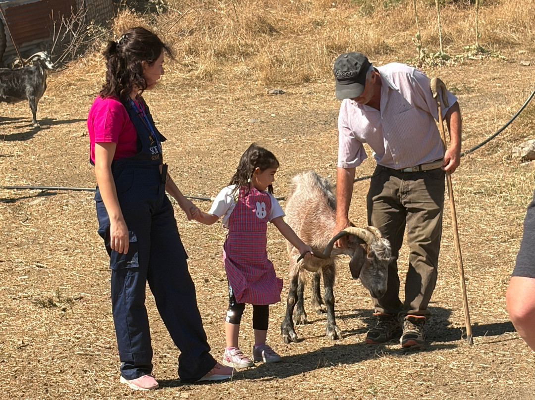Sofie's Goat Farm-Argos必去景点