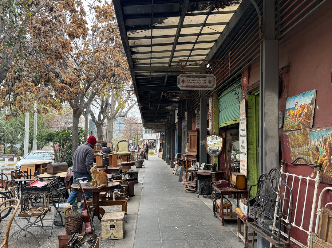 Barrio Italia-圣地亚哥必去景点