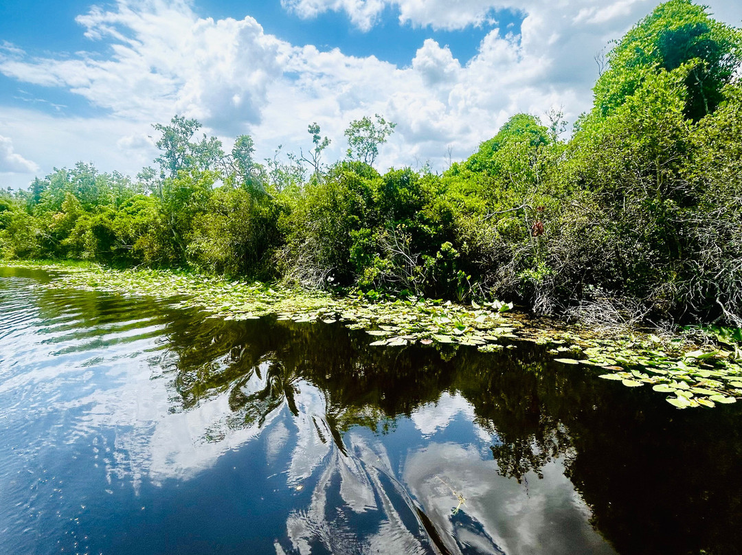 Epic Water Boat Tours LLC-Fruitland Park必去景点