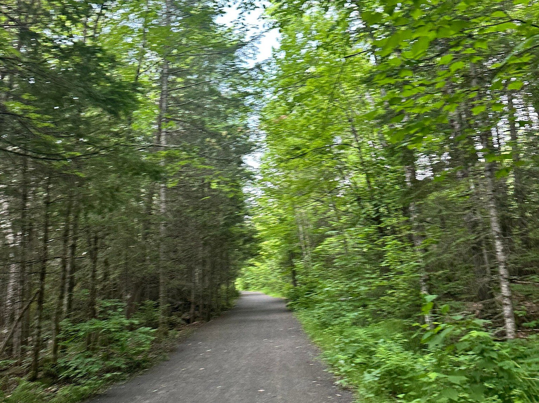 Parc de la Rivière Doncaster-Sainte-Adele必去景点