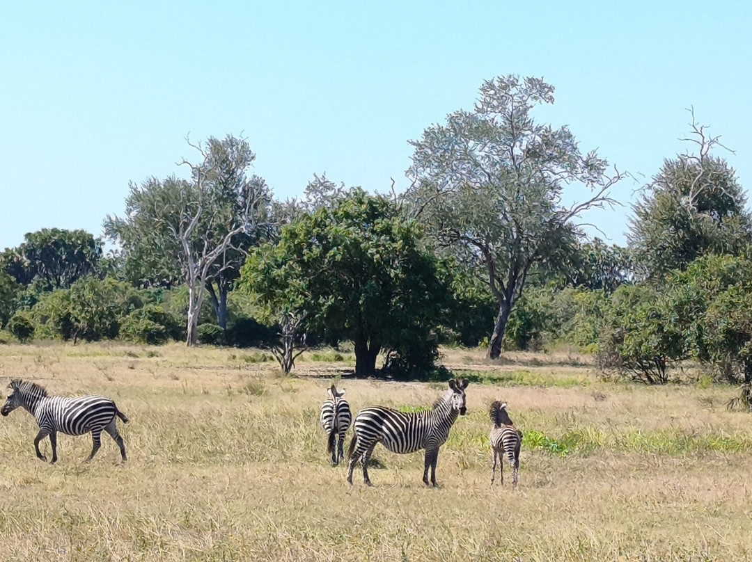 GoSmart Zanzibar Tours & Safari-Kiembi Samaki必去景点