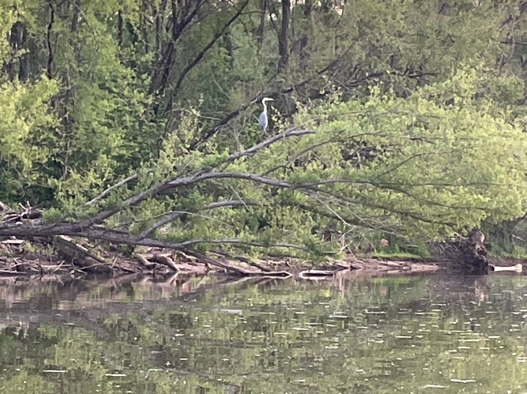 Staunton River State Park-Scottsburg必去景点