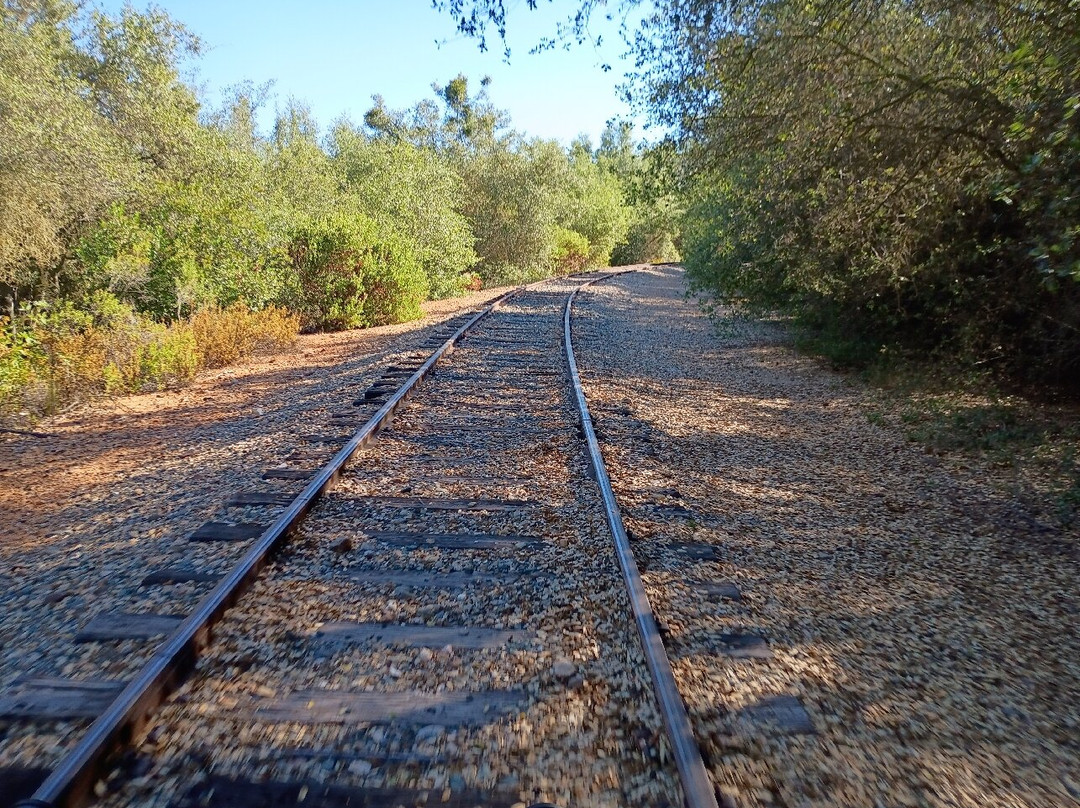 Rail Explorers: Amador CA Division-Ione必去景点