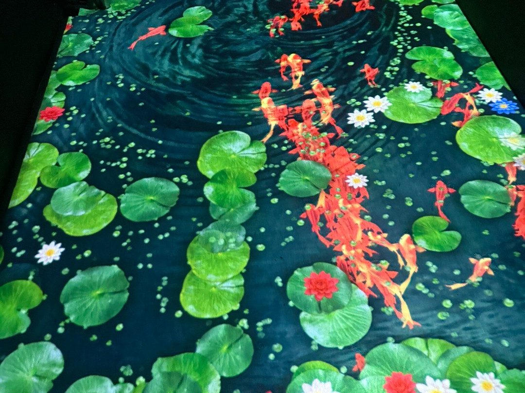 Sensorica Immersive Museum-基希讷乌必去景点