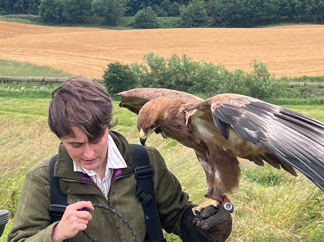 Elite Falconry-Kirkcaldy必去景点