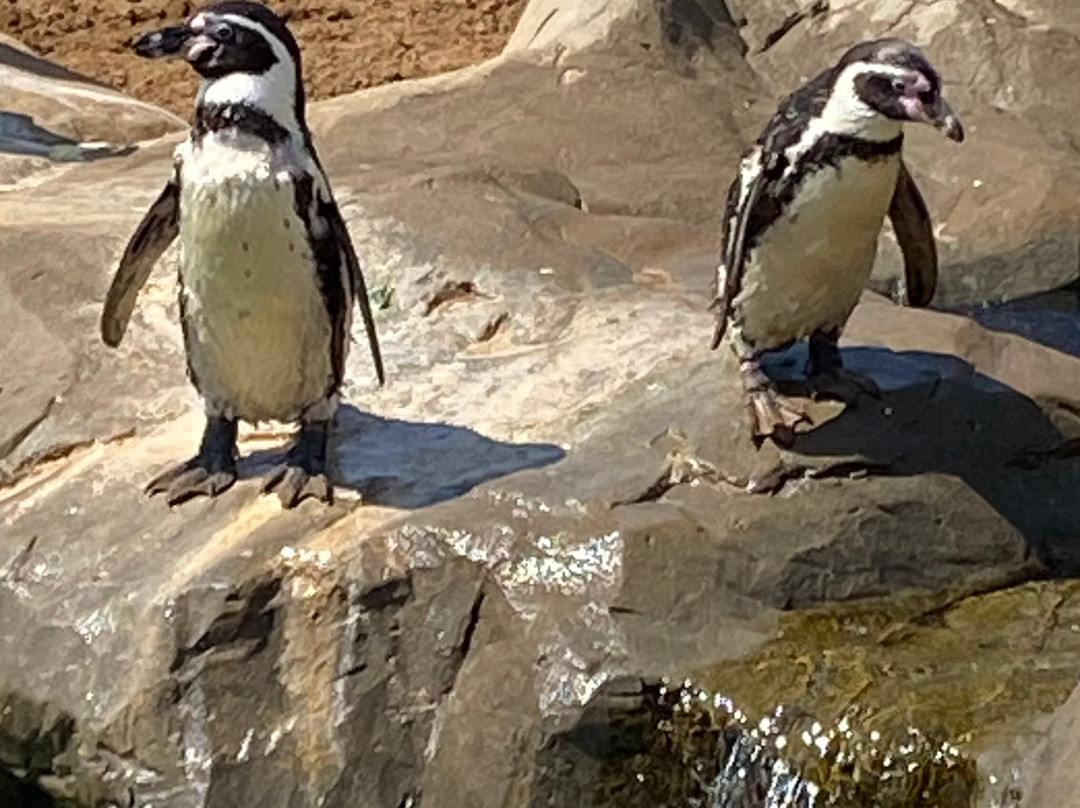 Sea Life Scarborough-斯卡伯勒必去景点