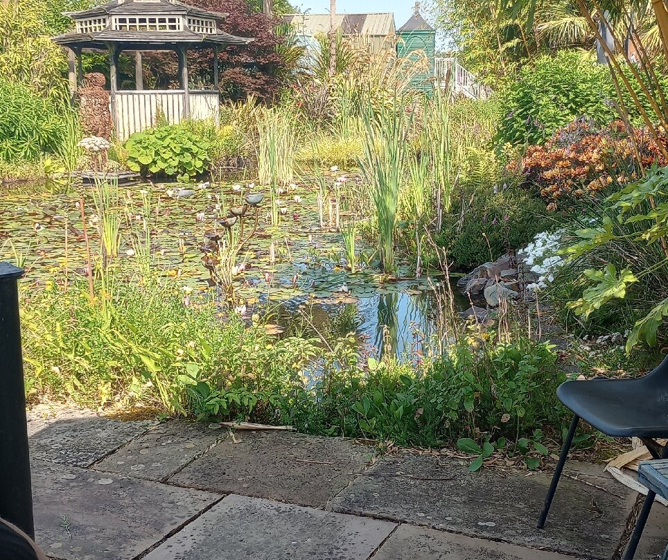 Coolwater Garden-利默里克必去景点