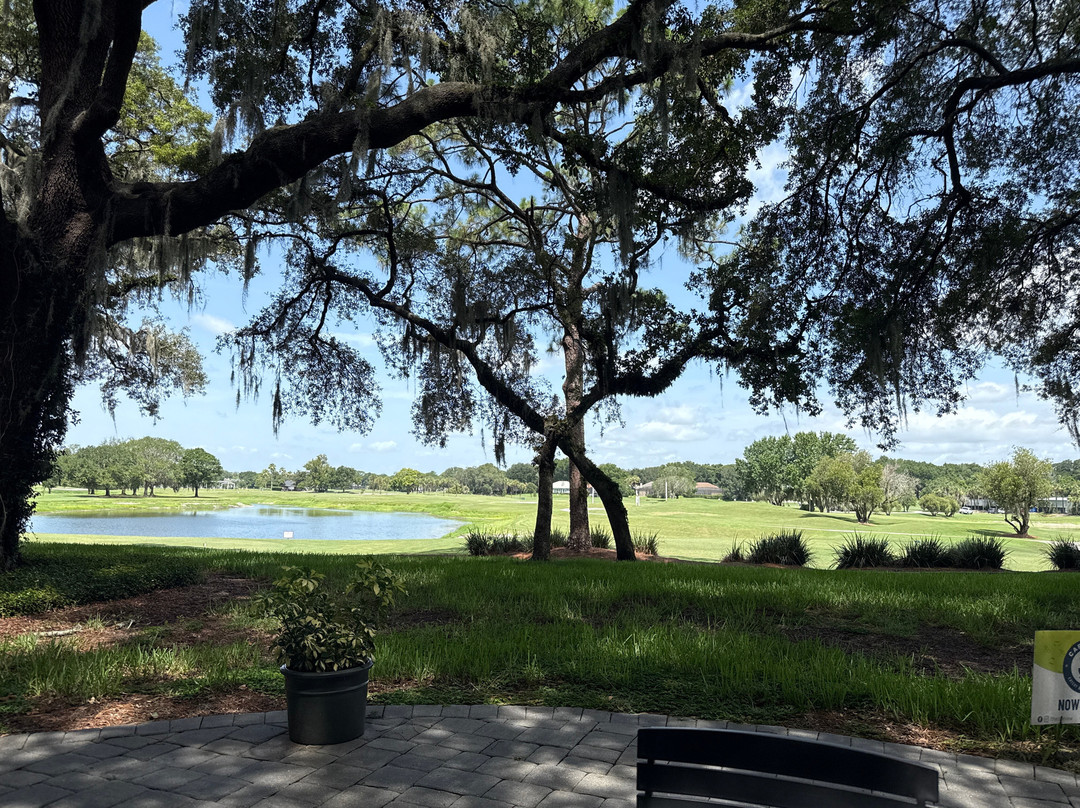 Cafe View