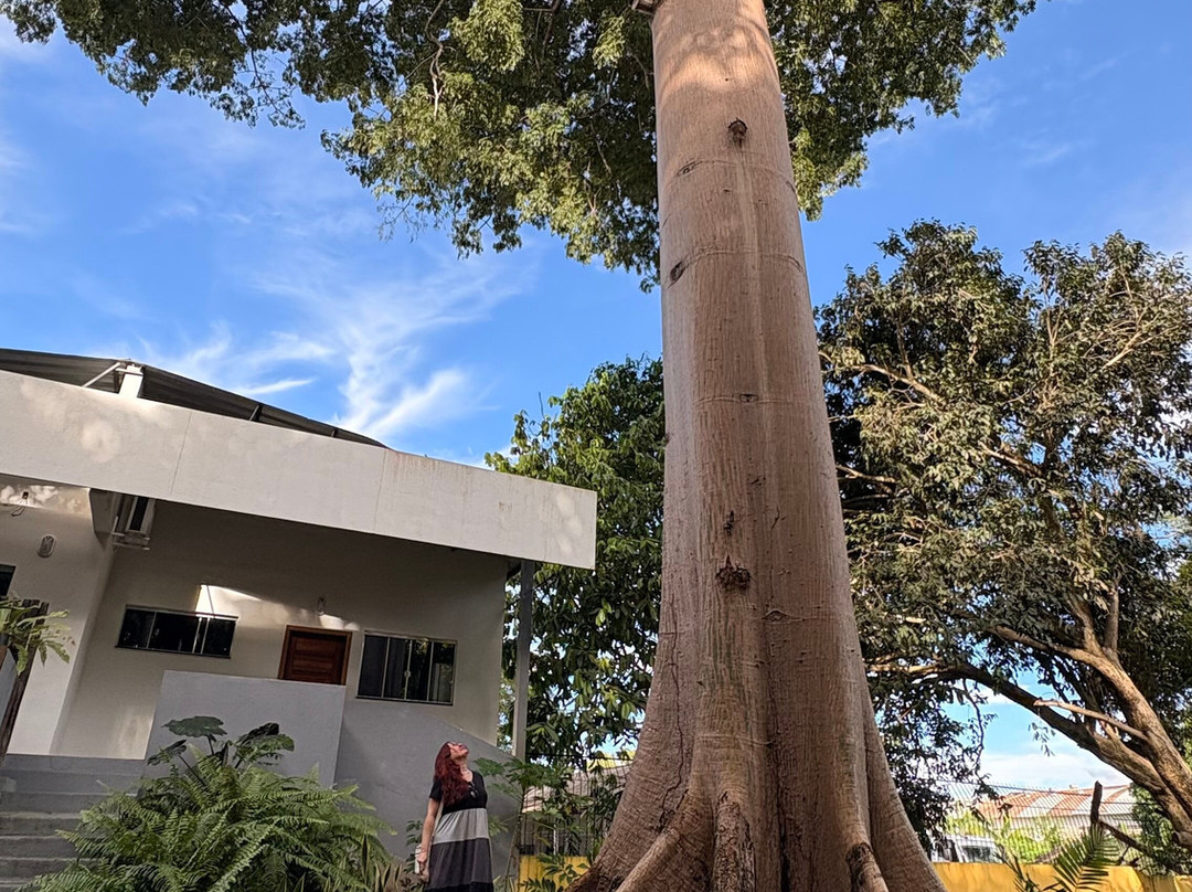 Centro de Pesquisas Museologicas Sacaca Museum-Macapa必去景点