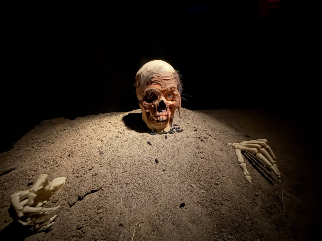 House of Frankenstein Wax Museum-乔治湖必去景点