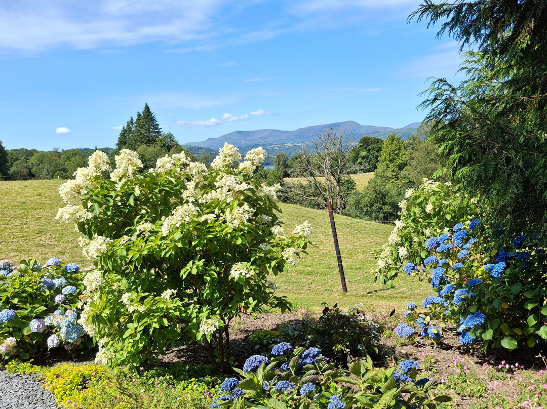 Holehird Gardens-温德米尔必去景点