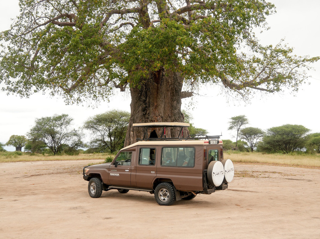 Makasa Tanzania Safaris-莫西必去景点