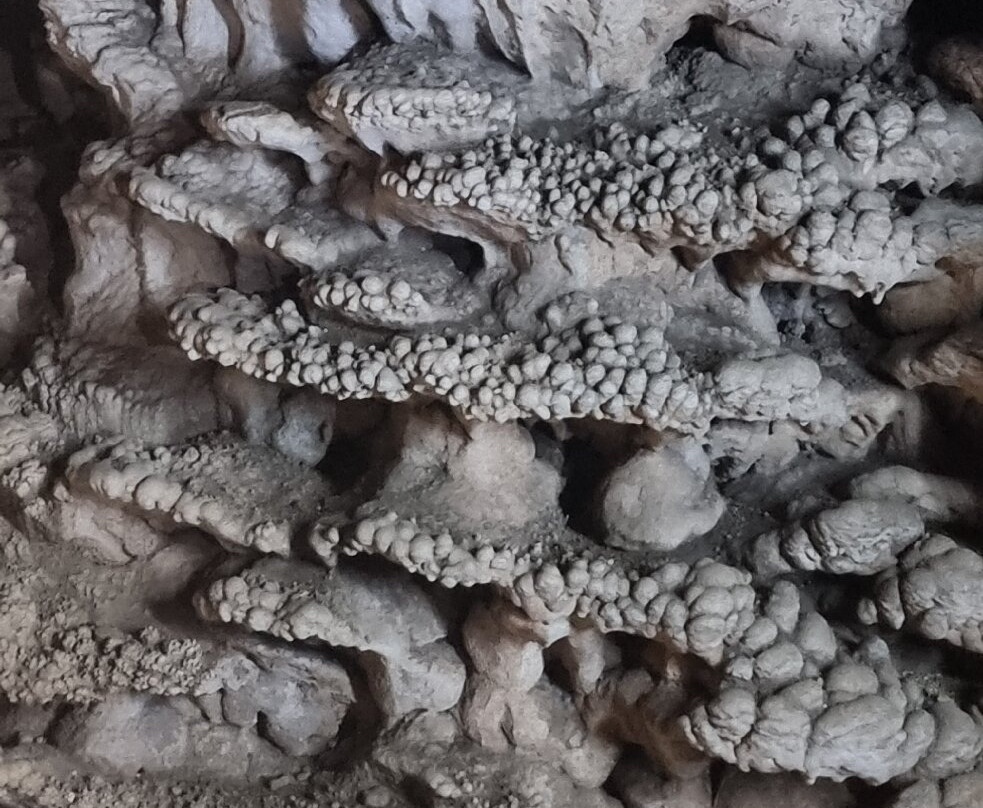 Coral Cave-拷索国家公园必去景点