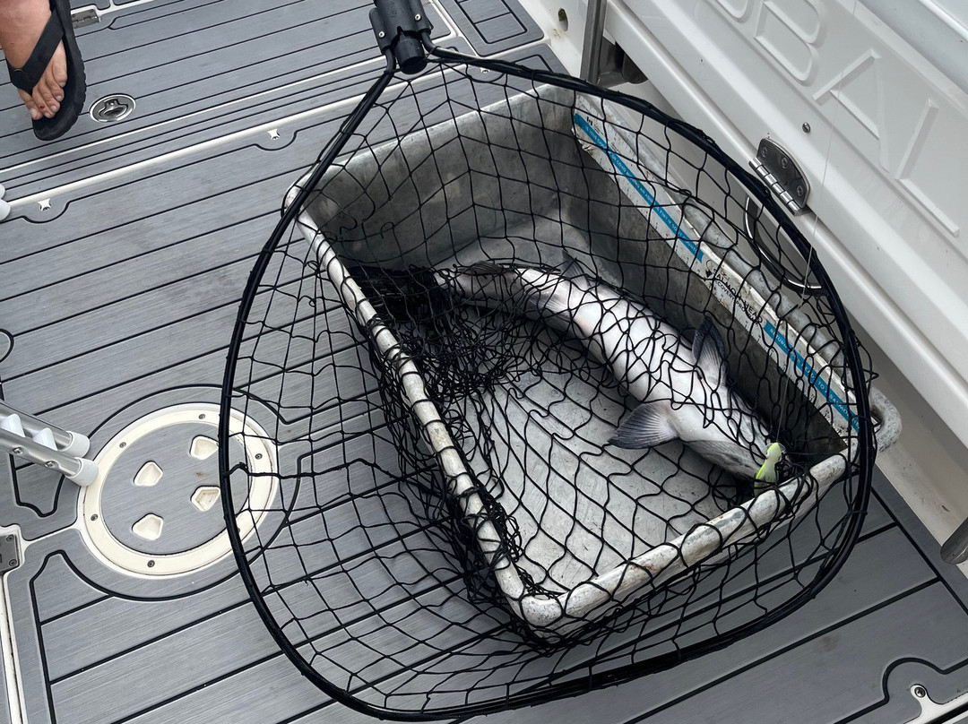 Undercover Sport Fishing Charters-鲍威尔里弗必去景点