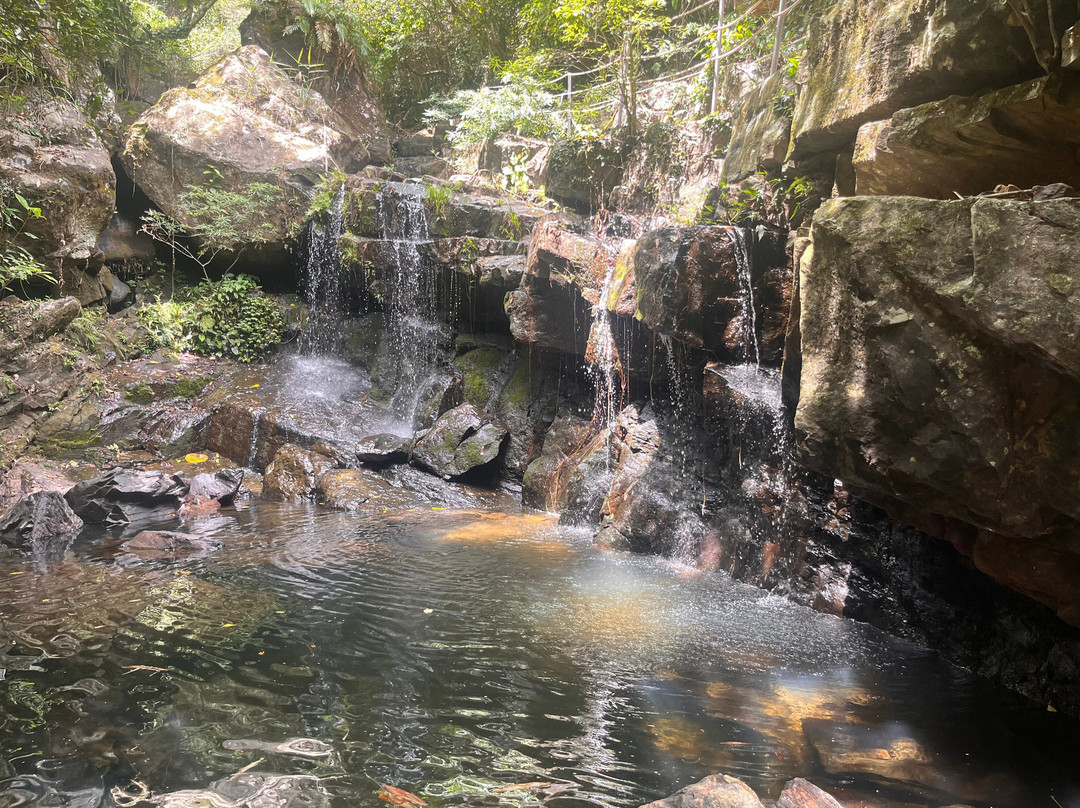 Phong Nha Botanic Garden-Son Trach必去景点