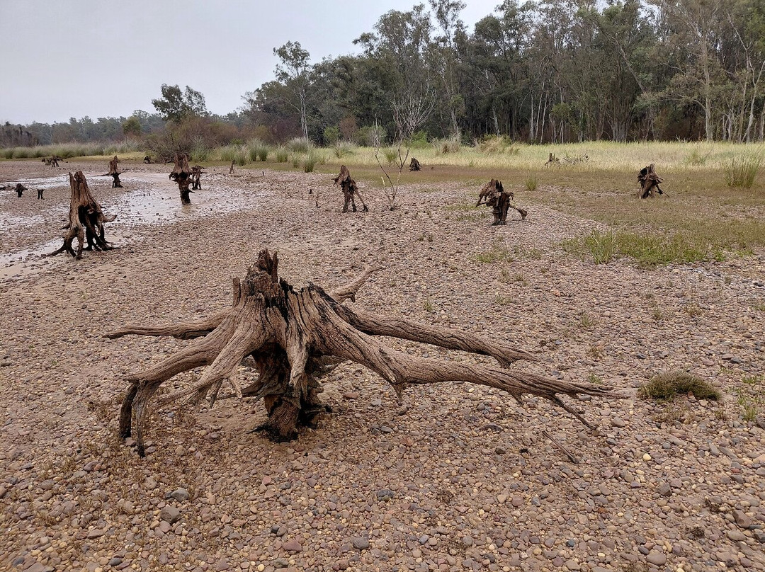 Reserva Forestal Chaviyu-Federación必去景点