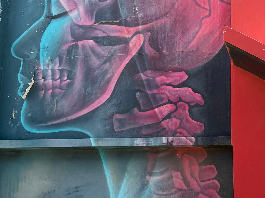 Street Murals By Aruba Art Fair-San Nicolas必去景点