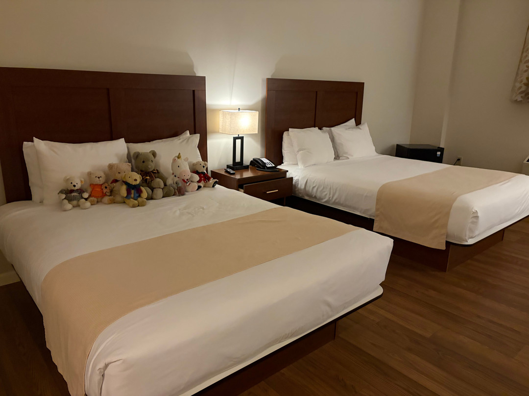 东风Spa酒店主图
