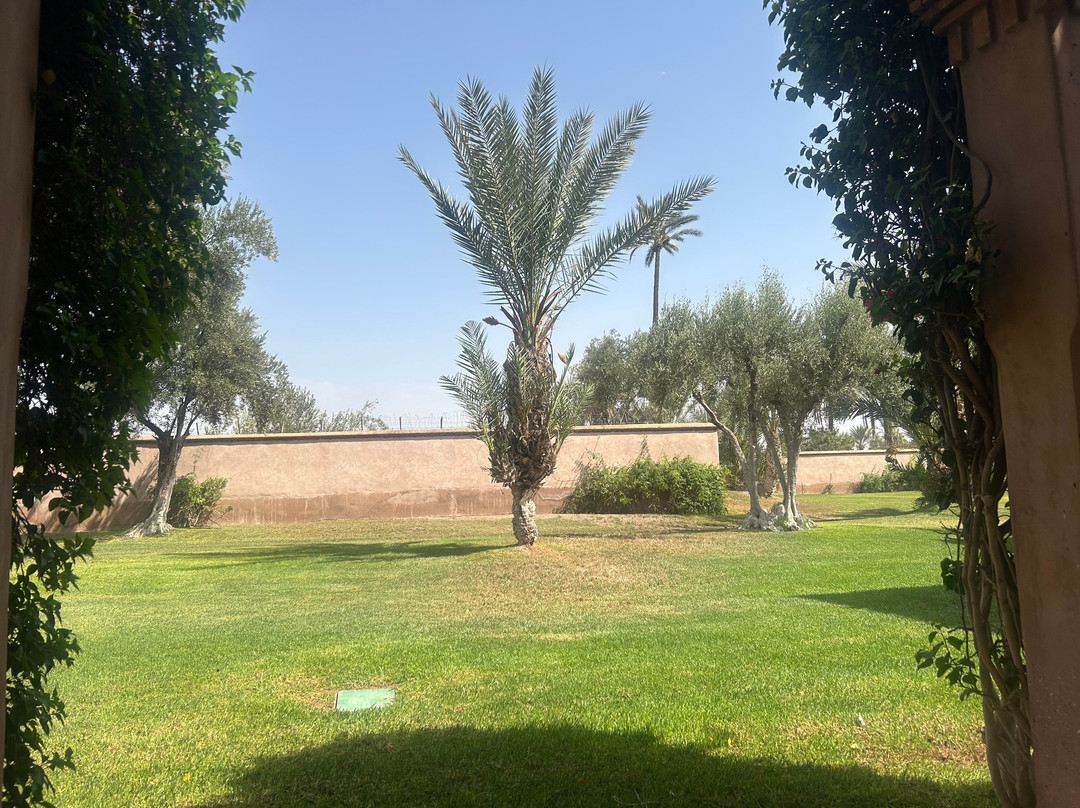 Club Med Marrakech la Palmeraie主图