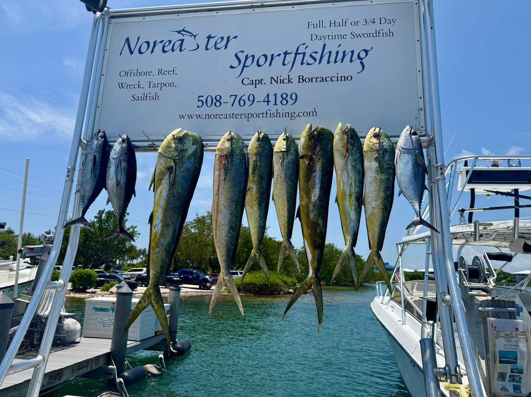 Noreaster Sport Fishing-Key Colony Beach必去景点