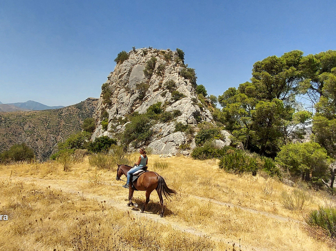 Horse Riding El Chorro-El Chorro必去景点