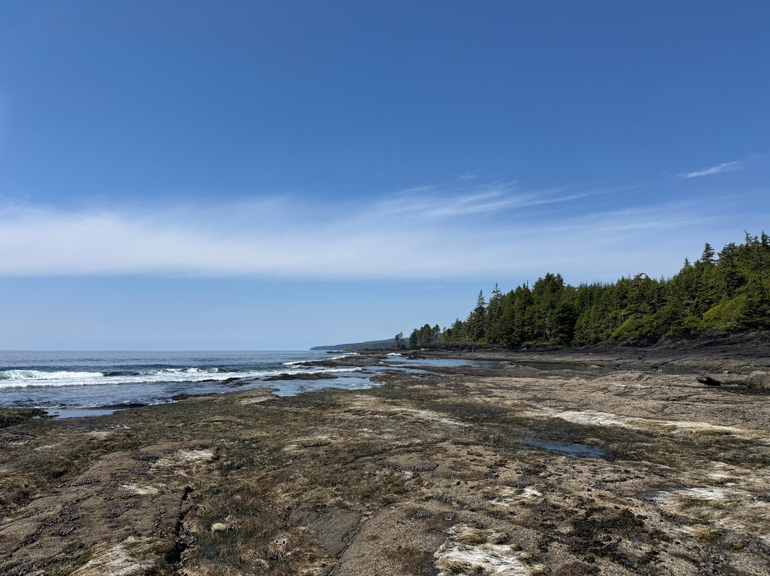 Botanical Beach Provincial Park-Port Renfrew必去景点