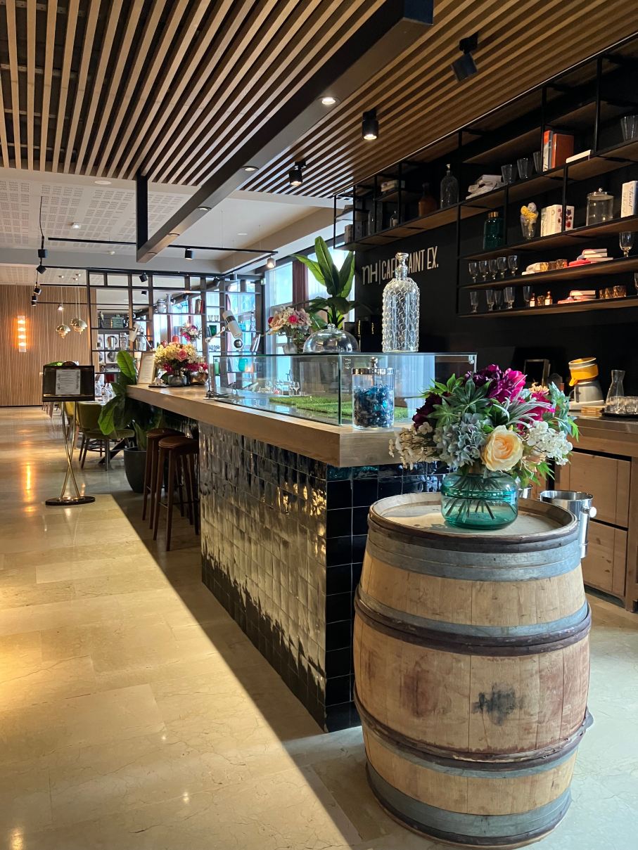 里昂机场诺翰酒店-旅行者