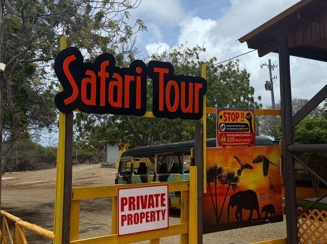Curacao Ostrich Farm-库拉索必去景点