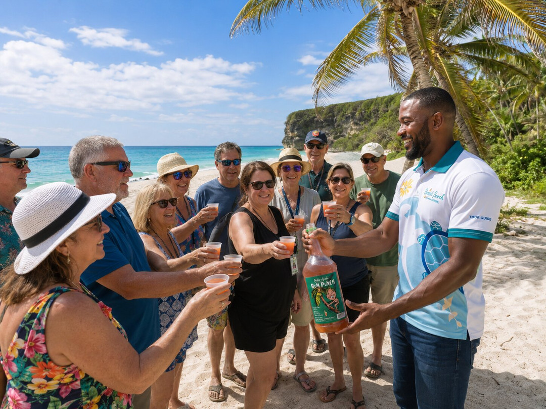 Beautiful Barbados Tours & Excursions Ltd-布里奇顿必去景点