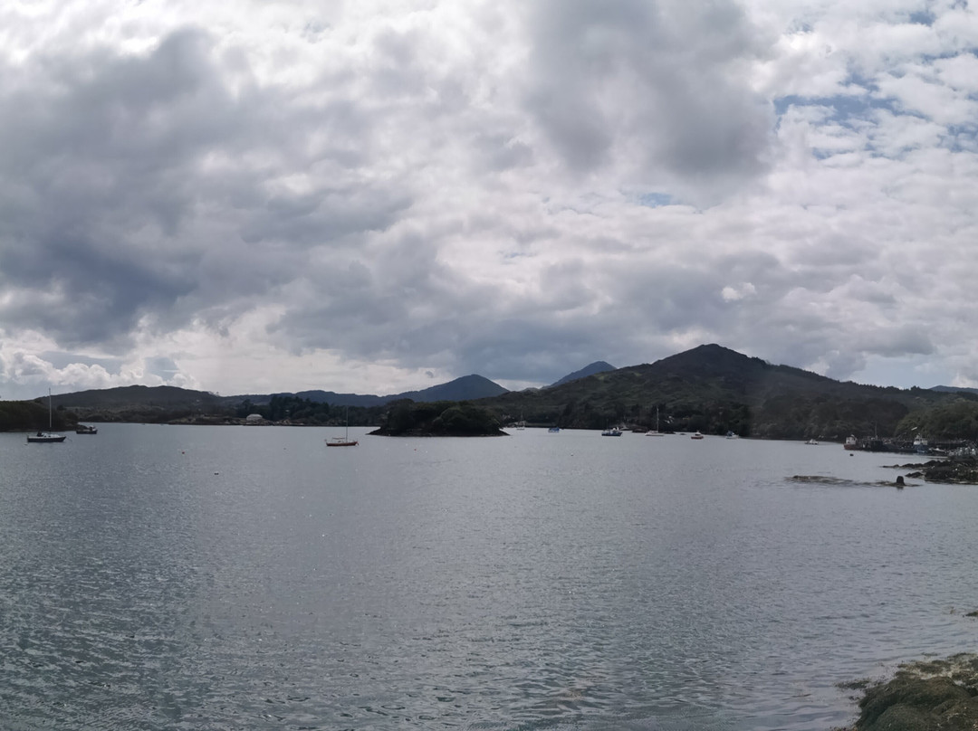 Glengarriff Bamboo Park-Glengarriff必去景点