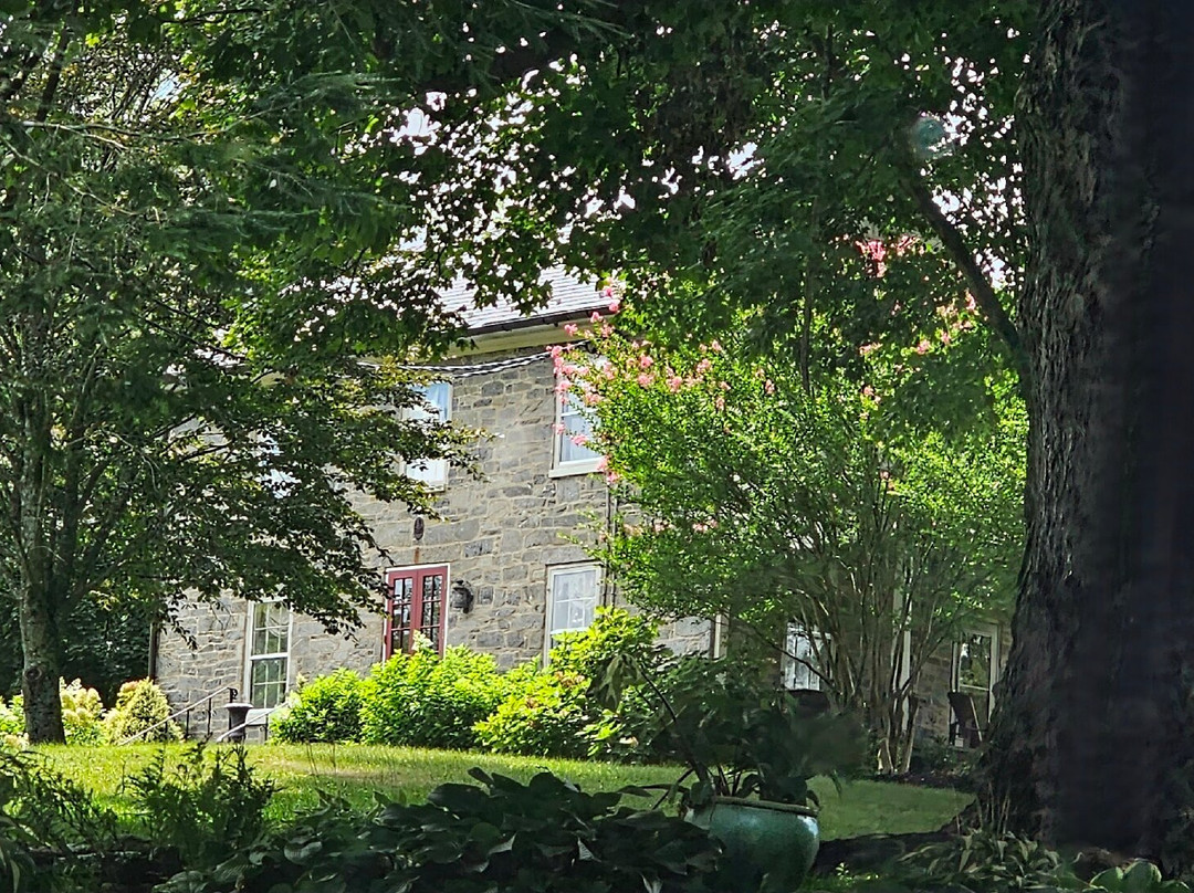 Wilson's Mill-Darlington必去景点
