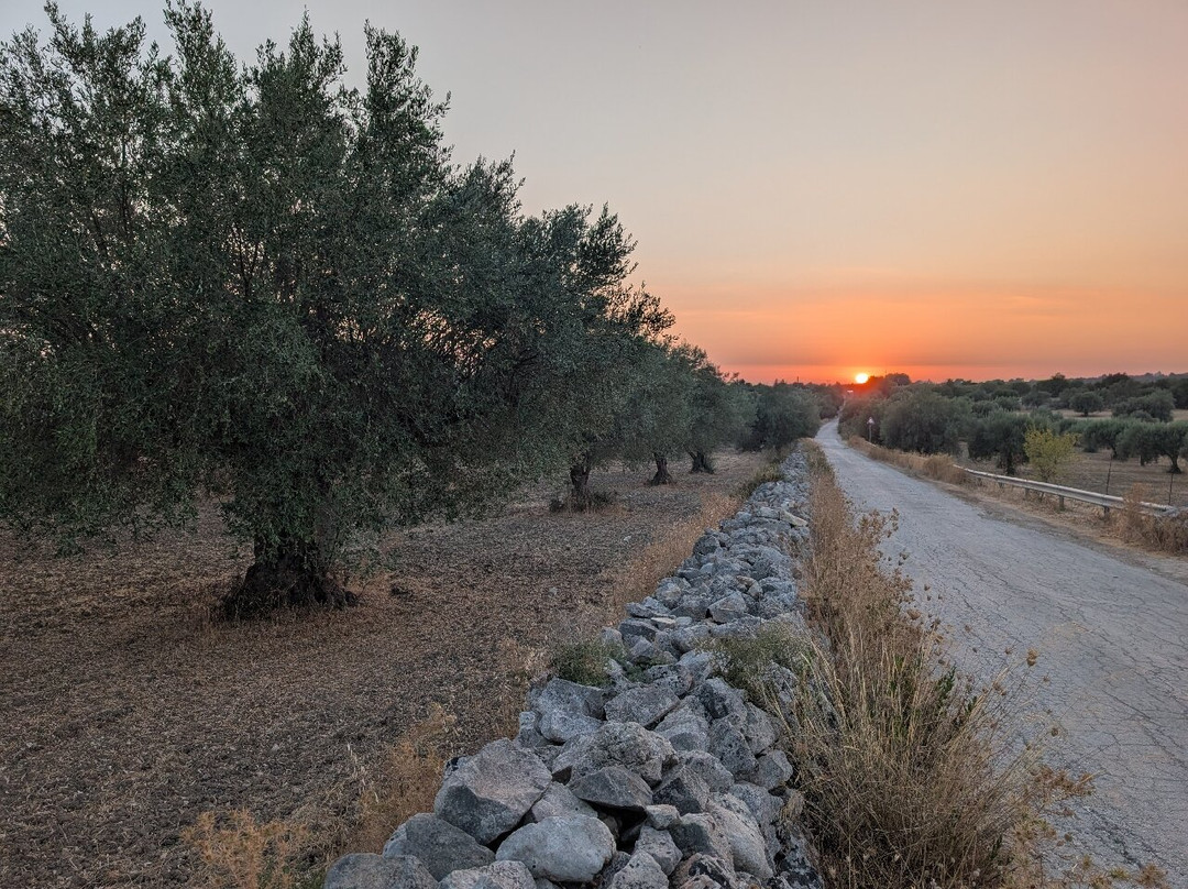 Sicily Bike Routes-希克利必去景点