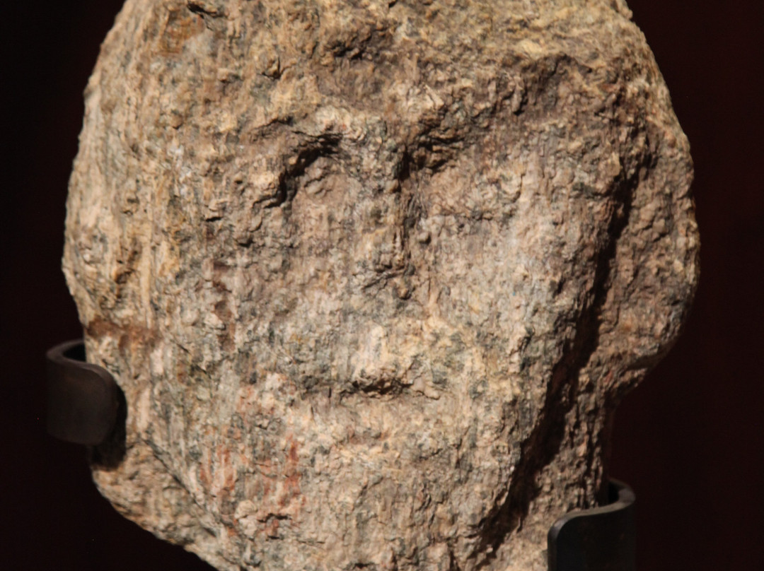 Musee Prehistorique-Sartene必去景点