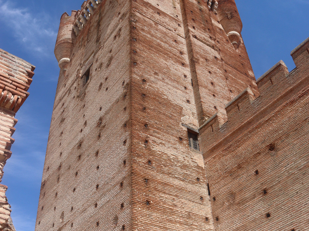 Castillo de la Mota-Medina del Campo必去景点